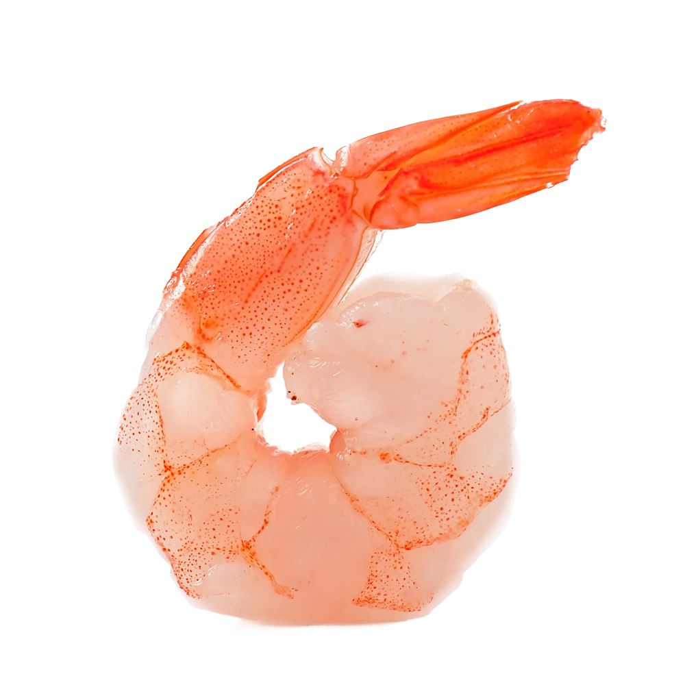 Х2 креветка