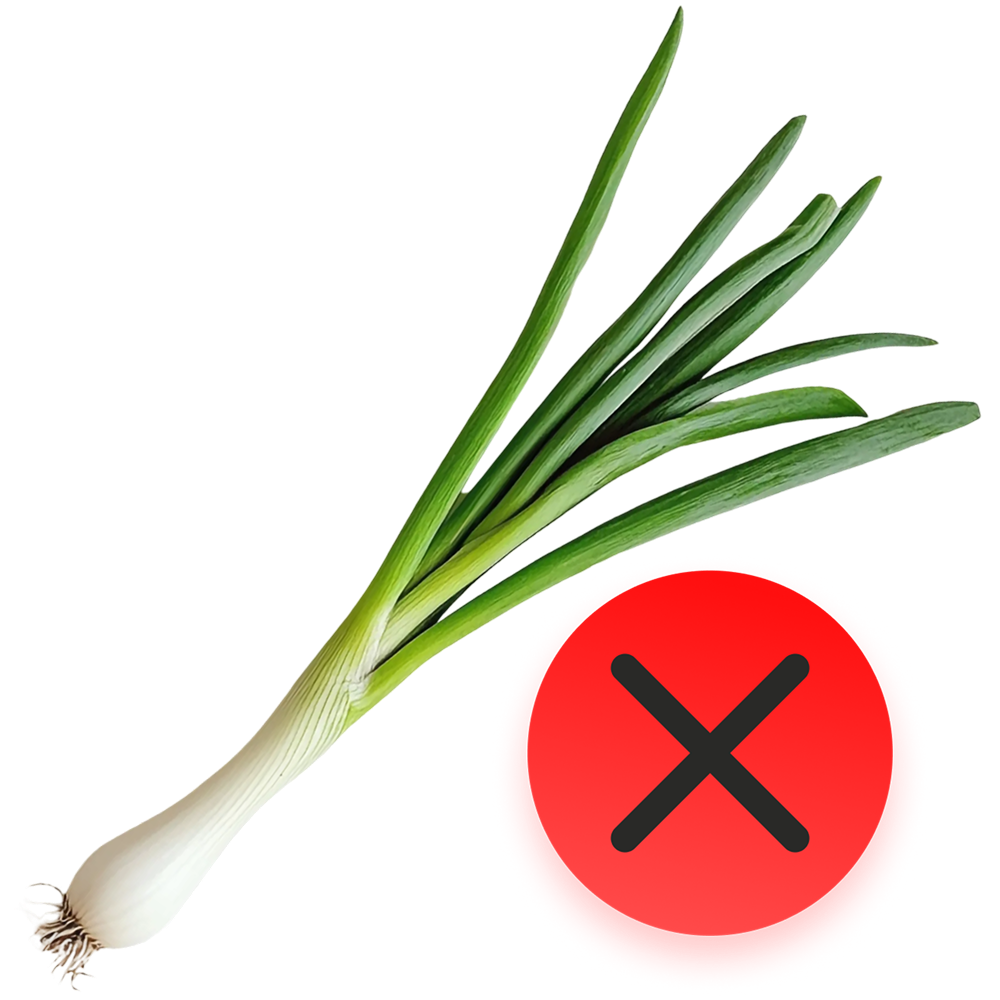 -Без цибулі